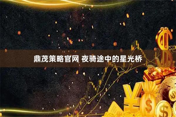 鼎茂策略官网 夜骑途中的星光桥